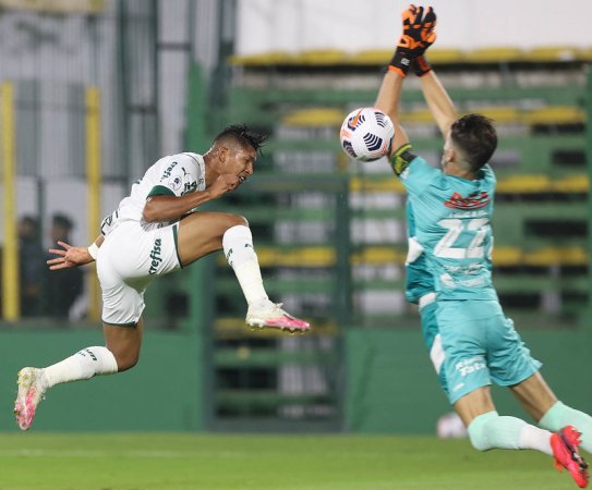 Palmeiras vence Defensa y Justicia com dois gols de Rony