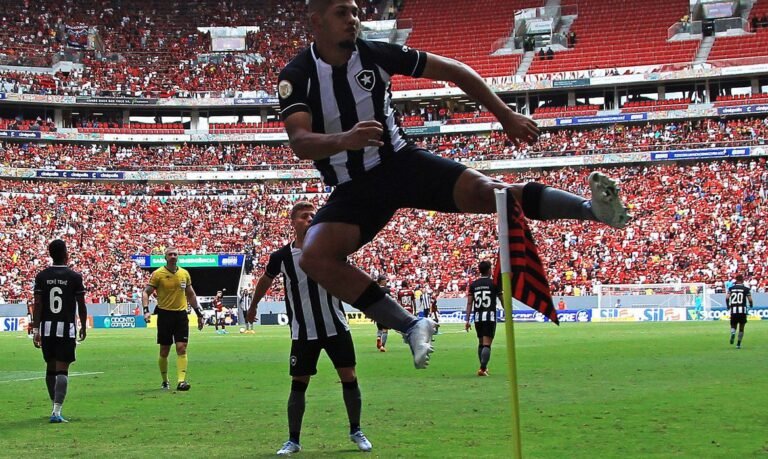 Com vitória sobre o Flamengo, Botafogo sobe na tabela