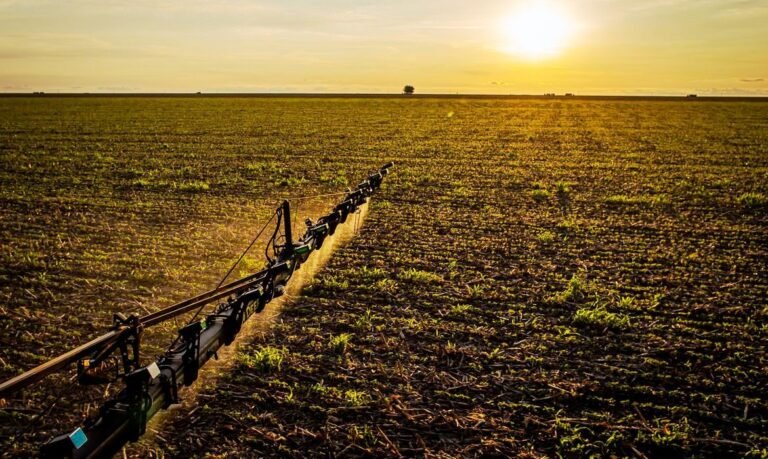 IBGE diz que 32% dos solos do país têm potencial natural para a agricultura