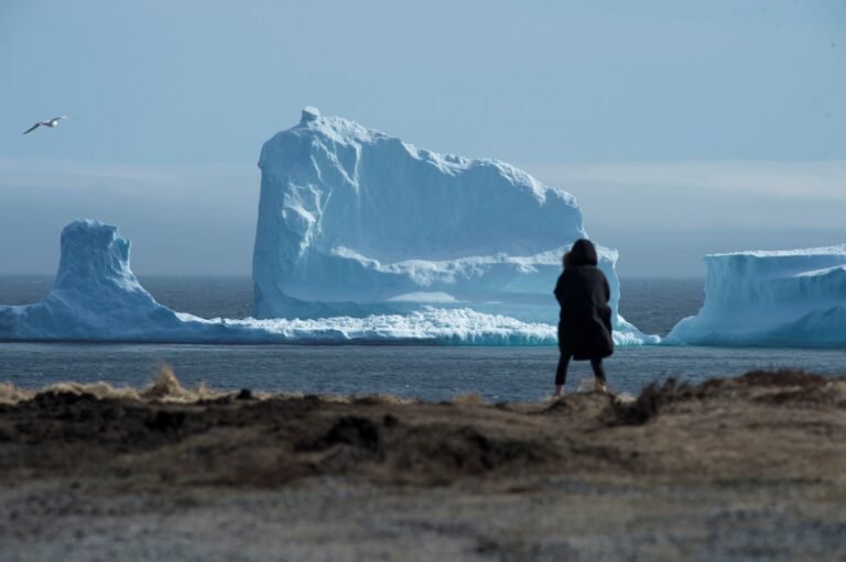 Maior iceberg do mundo se solta e pode ameaçar vida selvagem da Antártida