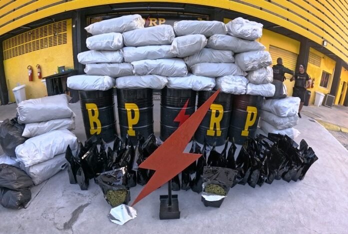 Polícia Sergipana apreende mais de 292 kg de “flor da maconha” e prende 4 pessoas