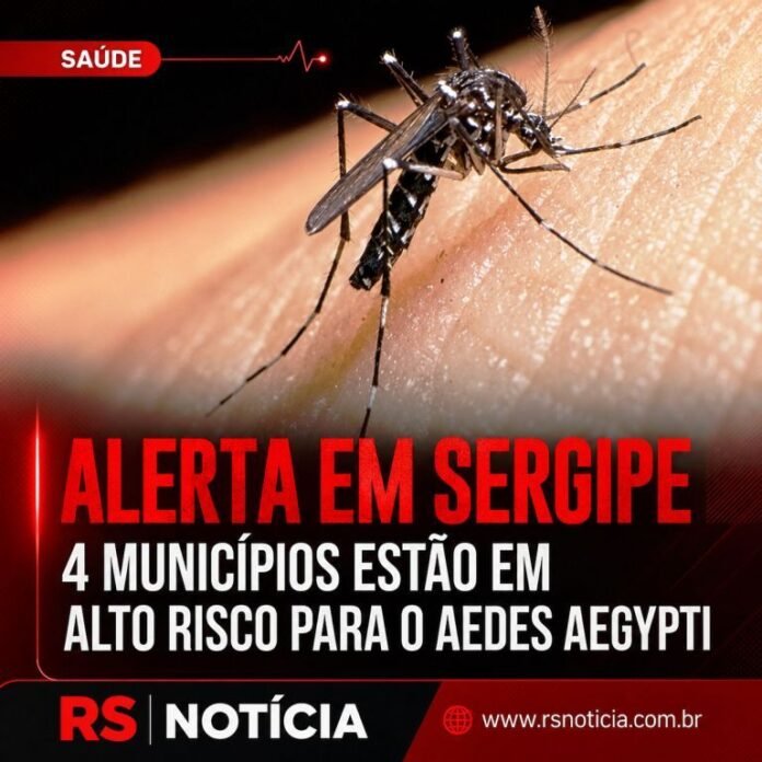 Sergipe tem quatro municípios em alto risco de infestação pelo Aedes aegypti; veja quais